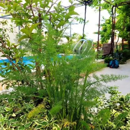 Sunset Garden